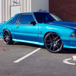 Meet your Posher, Brandon